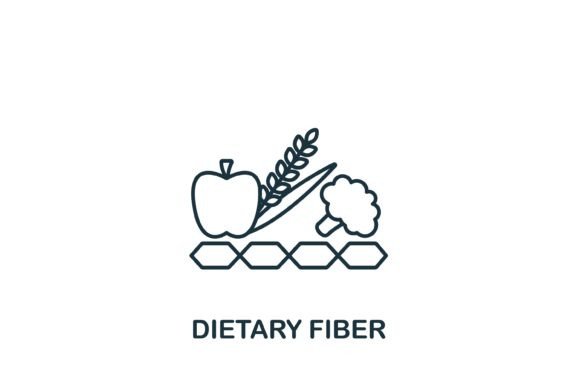 Dietary Fiber Icon: Graphics & Icons for Digital Products